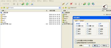 我用ftp上傳我的網(wǎng)站后,在里輸入我的域名卻無法顯示我的網(wǎng)頁,我的域名,空間,ftp服務(wù)器都搞好了